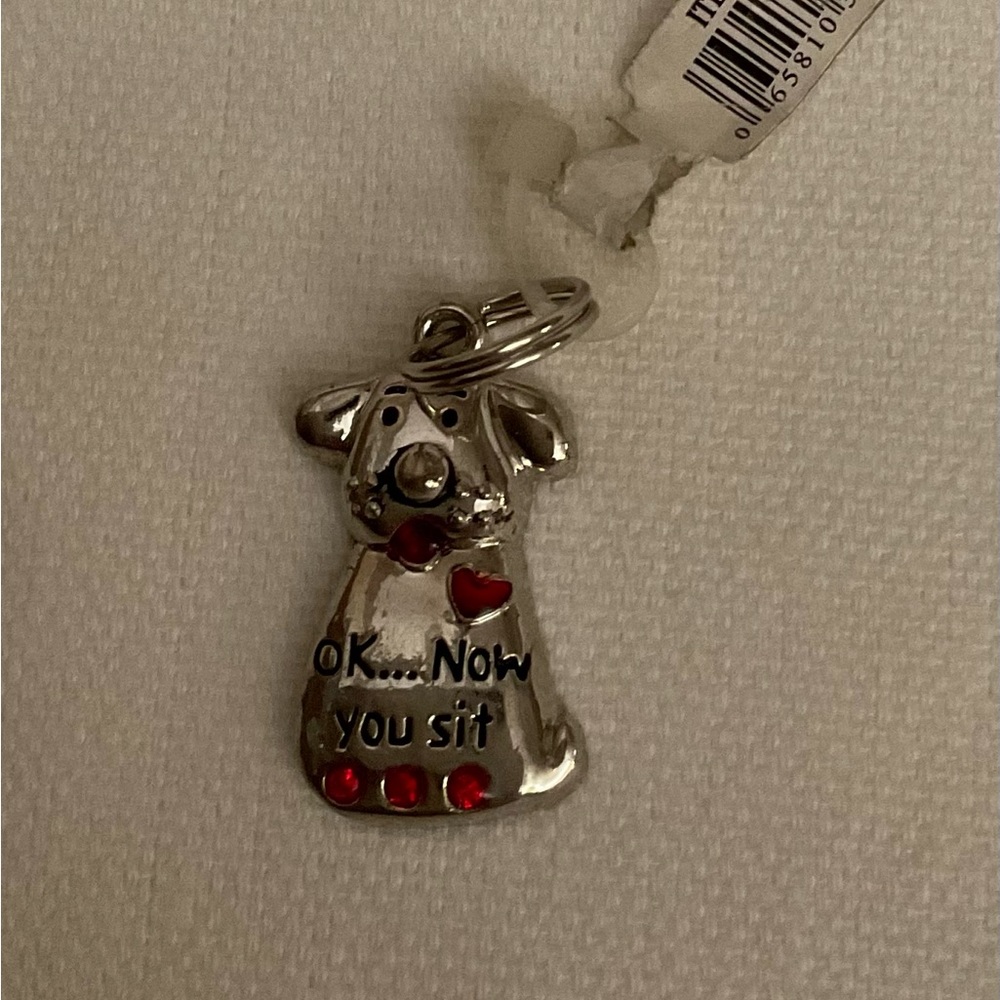 GANZ Pet Tag “OK…Now You Sit”